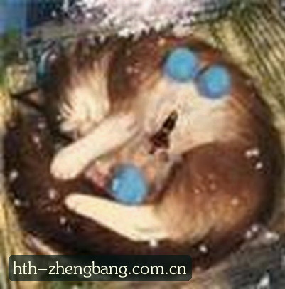 王磊